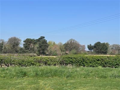 Picture 41